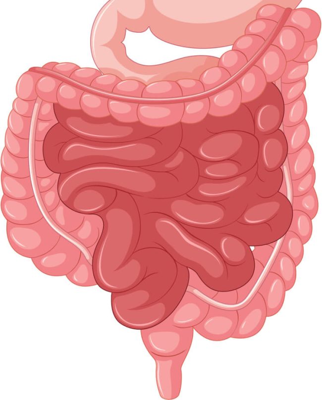 colonic irrigation