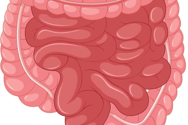 colonic irrigation