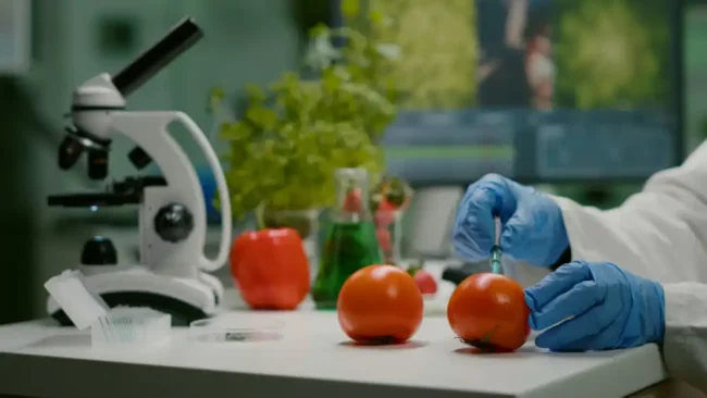food detectives