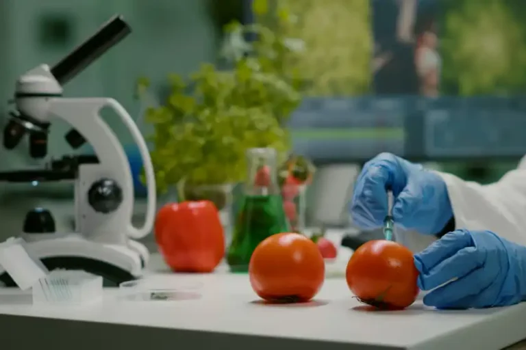 food detectives
