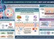Gut Nerve Health