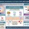 Gut Nerve Health