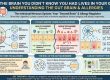 The Gut Brain and Allergies